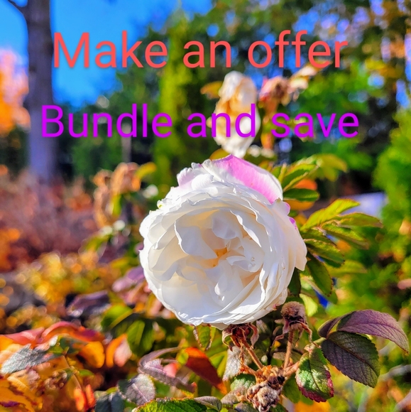 Meet your Posher, Patricia - Picture 1 of 2